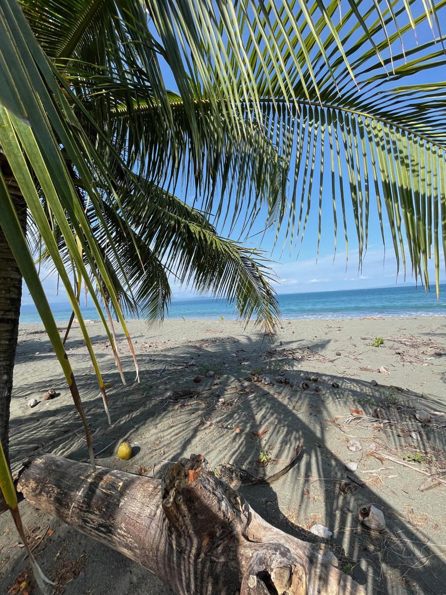 Puerto Jiménez Nereus酒店 外观 照片
